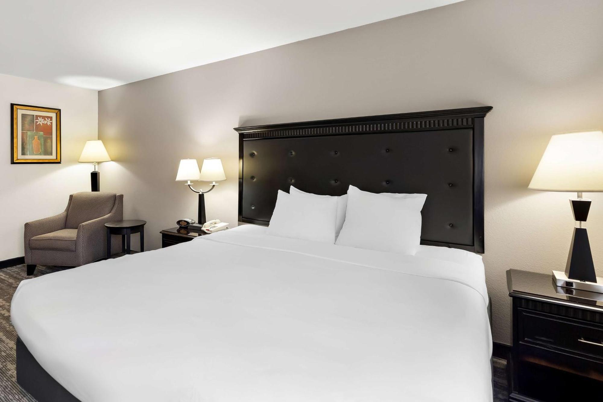 Best Western Saluki Inn Carbondale Zewnętrze zdjęcie