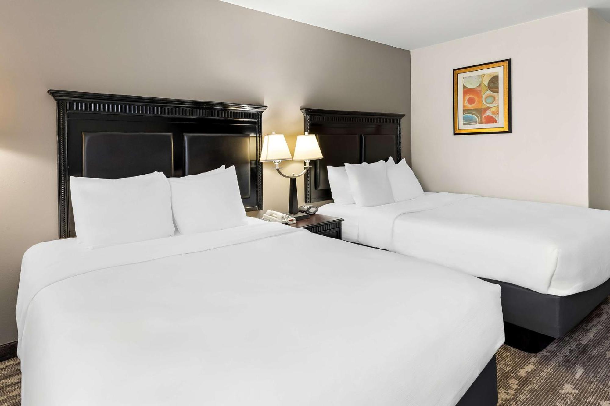Best Western Saluki Inn Carbondale Zewnętrze zdjęcie